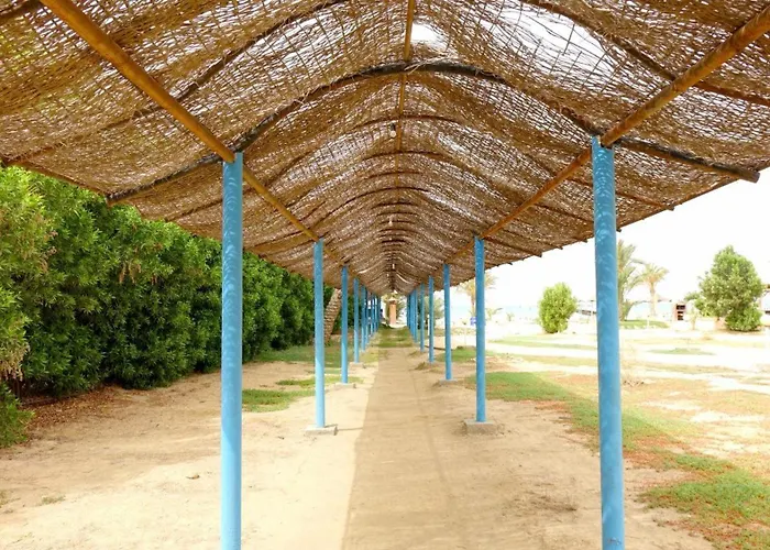 بقريه أميرة لاسرينا باي *
